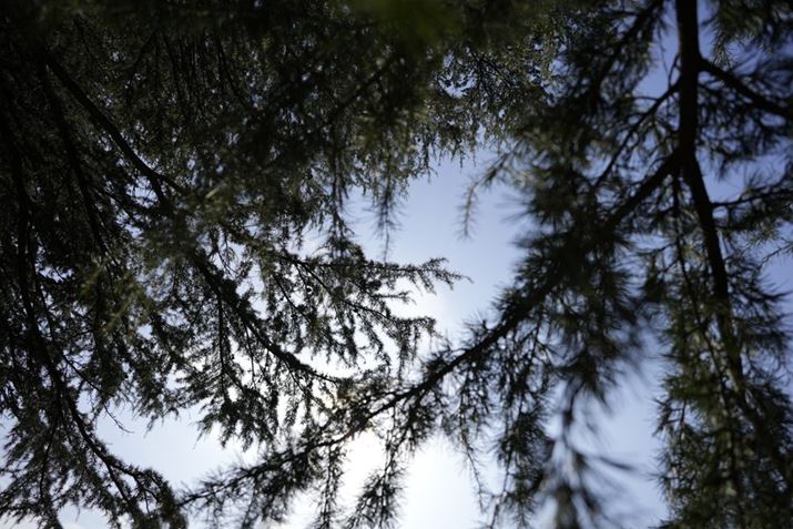 7C IIA20-40mm F/2.8 Di III VXDA20mmAF2.8A1/3200bAISO100AzCgoXFI[gANGCeBubNFSTBeʐ^i7008×4672A25.0MBj