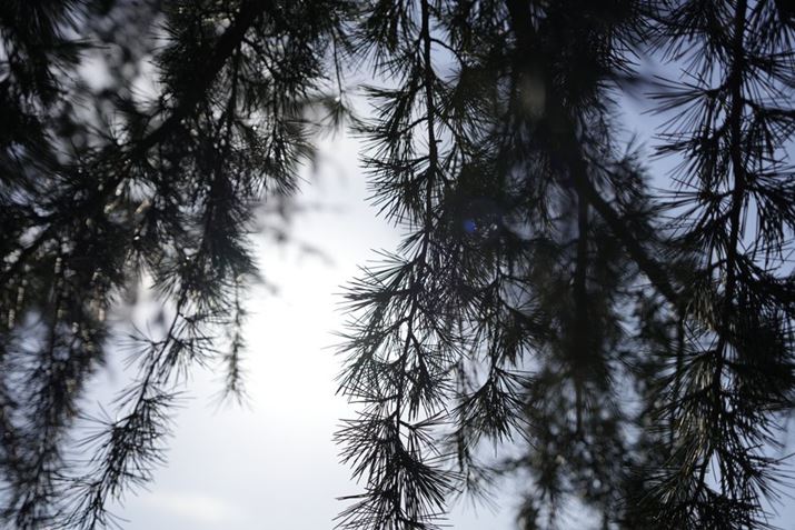 7C IIA20-40mm F/2.8 Di III VXDA40mmAF2.8A1/6400bAISO100AzCgoXFI[gANGCeBubNFSTBeʐ^i7008×4672A20.2MBj