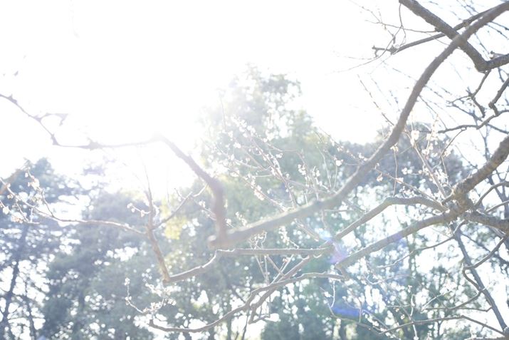 FʓIɏE␳łLDYɂāAȂI[o[ڂ̘Iołp[vtWo邱Ƃ͂قƂǂ܂łi኱̃tA͔܂j7C IIA20-40mm F/2.8 Di III VXDA40mmAF2.8A1/125bAISO100A+3.0EVAzCgoXFI[gANGCeBubNFSTBeʐ^i7008×4672A12.0MBj