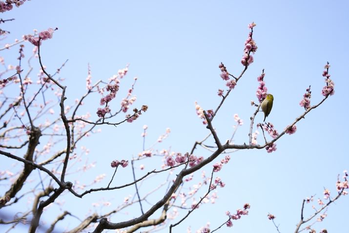 ~̎}̏킵Ȃ郁WƂƂ炦Ă܂7C IIA20-40mm F/2.8 Di III VXDA40mmAF2.8A1/500bAISO100A+2.3EVAzCgoXFI[gANGCeBubNFSTBeʐ^i7008×4672A14.1MBj