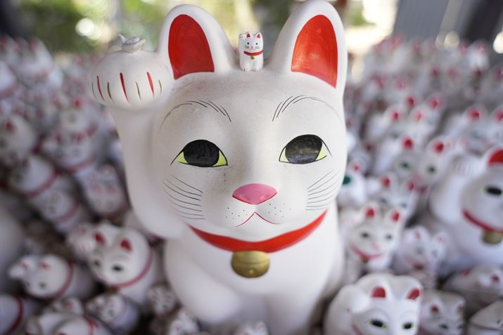 ][ŏLߐڎBeĂ݂܂BqAĂɃK΂Ă悤Ȕ͂1Ƀ7C IIA20-40mm F/2.8 Di III VXD A40mmAF2.8A1/40bAISO100A+1.0EVAzCgoXFI[gANGCeBubNFSTBeʐ^i7008×4672A16.6MBj