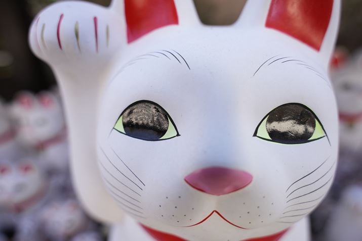 Lp[̍ŒZBeŎBeB߂ÂďL̊ɃỶeĂ܂܂BLp[ł̋ߐڎBe̓t[~OɒӂKvł7C IIA20-40mm F/2.8 Di III VXDAF4A1/100bAISO100A+1.0EVAzCgoXFI[gANGCeBubNFSTBeʐ^i7008×4672A15.8MBj