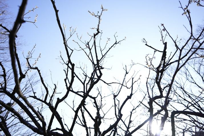 |pIȖ؁X̂܂7C IIA20-40mm F/2.8 Di III VXDA20mmAF2.8A1/640bAISO100A+3.0EVAzCgoXFI[gANGCeBubNFSTBeʐ^i7008×4672A16.0MBj