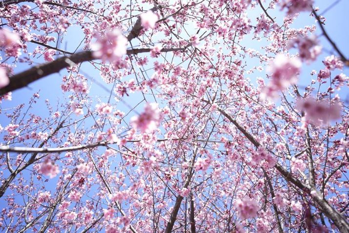 炫̍̃gl7C IIA20-40mm F/2.8 Di III VXDA20mmAF2.8A1/640bAISO100A+2.0EVAzCgoXFI[gANGCeBubNFSTBeʐ^i7008×4672A24.1MBj