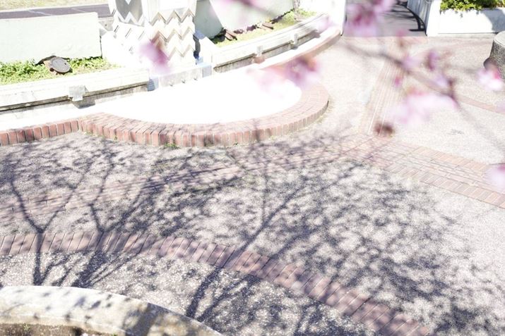 ɂJ̍7C IIA20-40mm F/2.8 Di III VXDA40mmAF2.8A1/400bAISO100A+2.0EVAzCgoXFI[gANGCeBubNFSTBeʐ^i7008×4672A24.5MBj