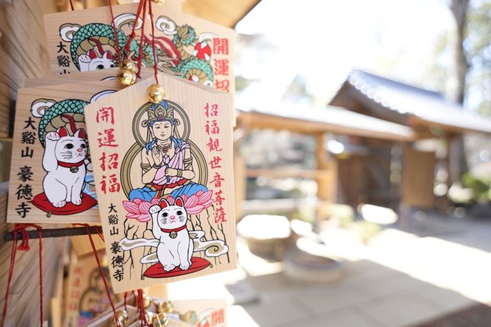 7C IIA20-40mm F/2.8 Di III VXDA20mmAF2.8A1/60bAISO100A+1.3EVAzCgoXFI[gANGCeBubNFSTBeʐ^i7008×4672A15.8MBj