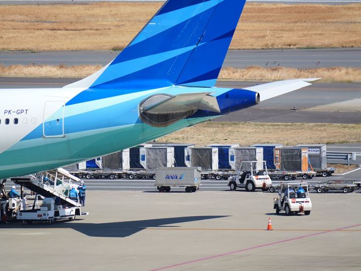 ][300mmi35mmZ600mmjŎBeB`ł͂܂܂Ȕʑ̂ǂƂłB\œ_قǁA؂ɕ܂LUMIX G9PROIIALUMIX G VARIO 100-300mm/F4.0-5.6 II/POWER O.I.S.A300mmi35mmZ600mmjAF5.6A1/500bAISO125A+0.7EVAzCgoXFVAtHgX^CFBBbh