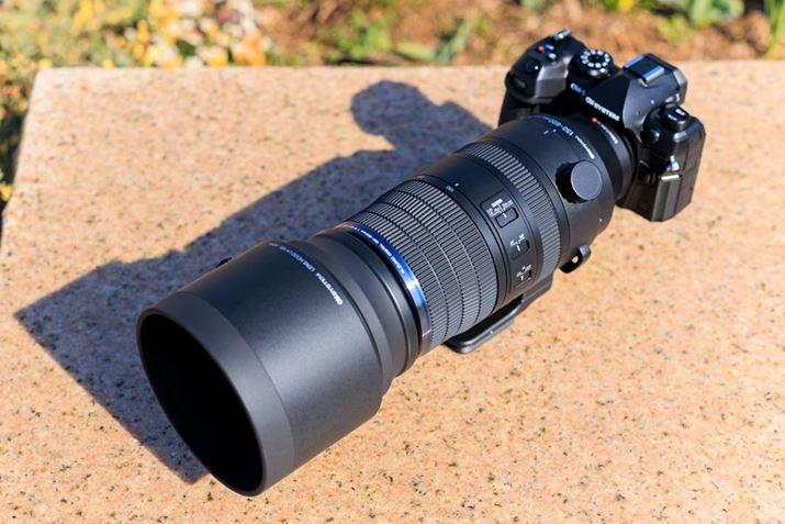 ł́uOM SYSTEM OM-1 Mark IIvƁuM.ZUIKO DIGITAL ED 150-600mm F5.0-6.3v̑gݍ킹ŎBes