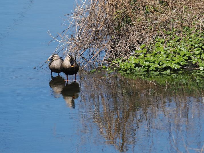 œ_373mmi35mmZ746mmjŎBeBJ2HłB]T\}ňCɐ؂OM-1 Mark IIAM.ZUIKO DIGITAL ED 150-600mm F5.0-6.3A373mmi35mmZ746mmjAF6.3A1/1000bAISO250A-0.3EVAzCgoXF5300KAdオݒFVivid