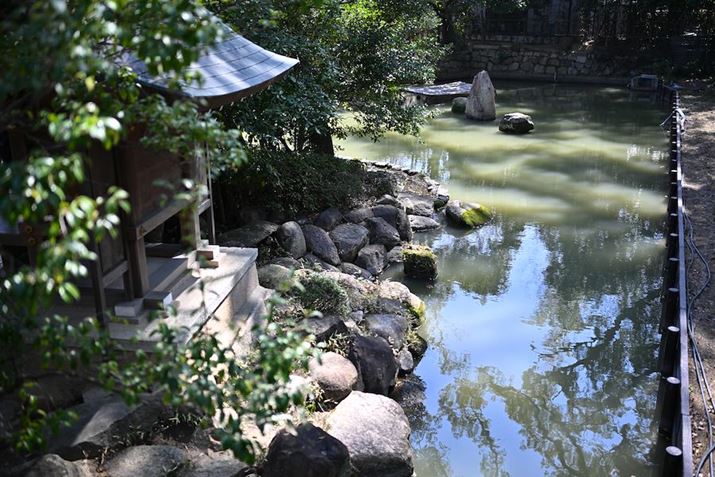 Z 8ANIKKOR Z 35mm f/1.8 SAF1.8A1/1000bAISO64AzCgoXFI[g1i͋CcjAsN`[X^CFiAANeBuD-CeBOF苭1ABlbgRg[FȂBeʐ^i8356×5504A25.3MBj