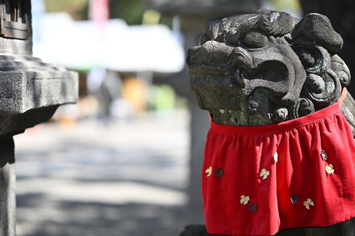 Z 8ANIKKOR Z 85mm f/1.8 SAF1.8A1/1000bAISO64AzCgoXFI[g0iD悷jAsN`[X^CFX^_[hAANeBuD-CeBOFWABlbgRg[FWBeʐ^i8356×5504A17.9MBj