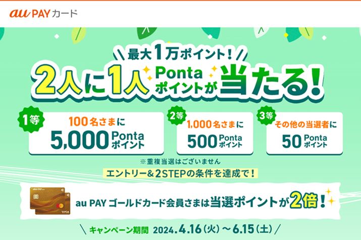 2lɂЂƂuPonta|CgvIȂǁA2̃Ly[Љi摜auPAYJ[h̃vX[Xj