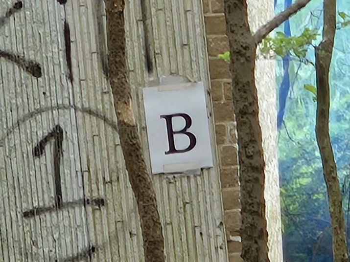 L̉摜ƓBeʒu牜ɂB̕ɃY[Ă݂܂BuPixel 8 ProviĵقB̕NbLƏoĂ܂AuGalaxy S24viĵقS̓IɎmɕ\Ă܂