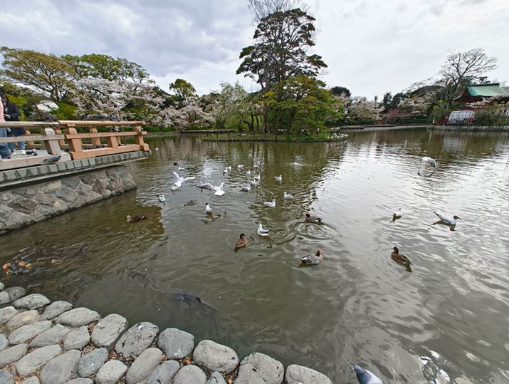 LpJŎBeB掿򉻂₷lꂢBN₩̖֒ڗȂG肾