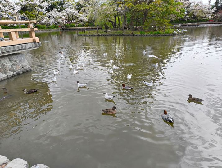 Ɠ\}LpJɐ؂ւB2̃JŃg[̕ωȂAƃ`[jOĂ邱Ƃ킩