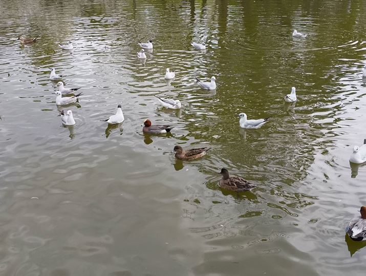 fW^Y[2{ŎBeBx[XƂȂC[WZT[ׂȂ̂őNȉ掿͈ێ