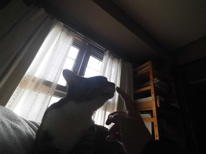 ЎŊȒPɃVb^[̂ŎjƎ̎̃c[Vbgʐ^ɎB܂INSTAX PalAF2.2A1/320bAISO100