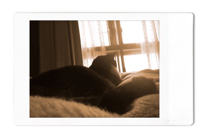 pAvĎBeʐ^BX}[gtH]Ƀt[t̉摜Ƃĕۑł܂BBeɃGtFNgǉ邱Ƃ\ł