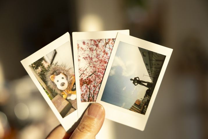 CȂ̃V[`FLvgƓʊ܂܂