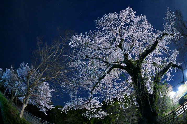 Jil邢ƁAi莝ŃXibv₷Bߓxɍx𗘗pBeɗՂ߂郿7R VA15mm F1.4 DG DN DIAGONAL FISHEYEAF1.4A1/10bAISO6400AzCgoXFuANGCeBubNFVVAImaging Edge DesktopŃRgXgA邳RAWBeʐ^i9504×6336A51.9MBj