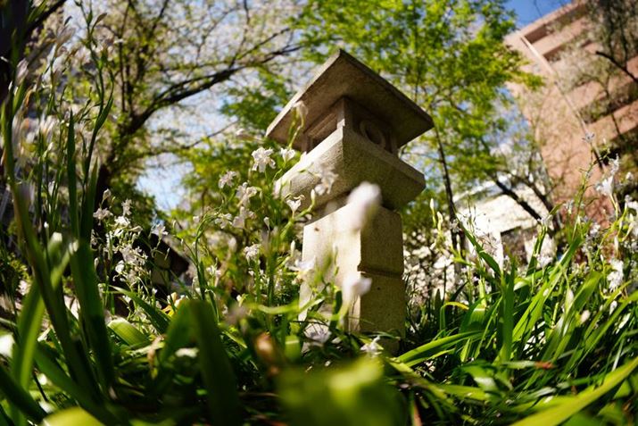 [AOObƔʑ̂ɊĎBeBcȌʂ𗘗pȂAO{PoBF1.4Ƃ邳炱̕`ʂꂽ7R VA15mm F1.4 DG DN DIAGONAL FISHEYEAF1.4A1/3200bAISO100A+0.3EVAzCgoXFܓVANGCeBubNFVVBeʐ^i9504×6336A40.4MBj