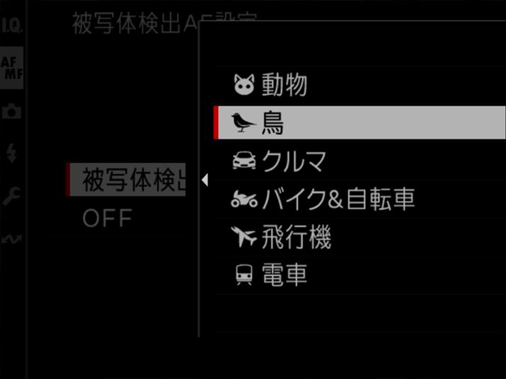 uGFX100 IIvȂǂƓlAuvui{jvuN}vuoCN]ԁvus@i{h[jvudԁv̔ʑ̌oɑΉĂBl̊E͕ʂ̍ڂŐݒ肷dl