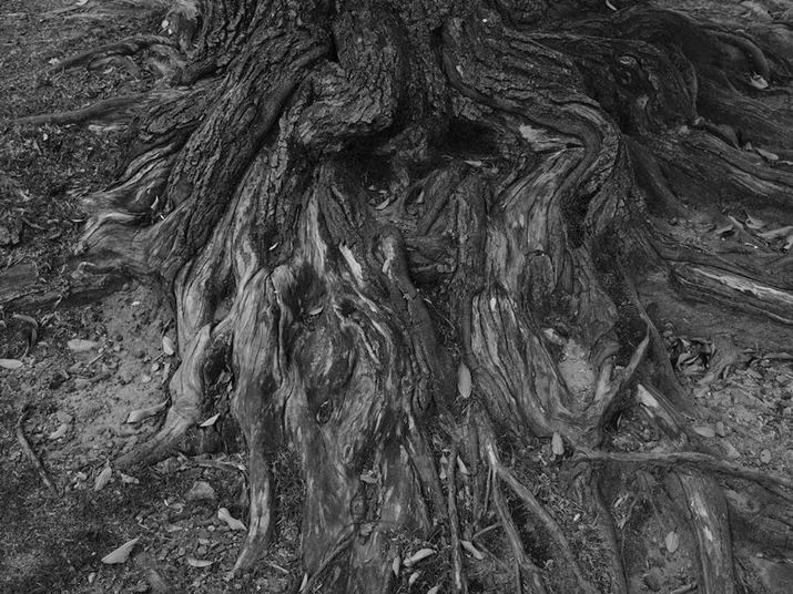 GFX100 IIAGF35-70mmF4.5-5.6 WRA49.1mmi35mmZ39mmjAF11A1/60bAISO80A-1.0EVAzCgoXFI[gAtBV~[VFACROSinCCgg[F+1AVhEg[F+1jAJPEGBeʐ^i11648×8736A59.4MBj