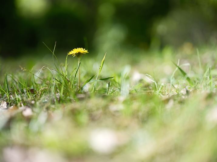 GFX100 IIAGF55mmF1.7 R WRA55mmi35mmZ44mmjAF1.7A1/680bAISO80AzCgoXFI[gAtBV~[VFREALA ACEAJ[N[EGtFNgFAJPEGBeʐ^i11648×8736A42.8MBj