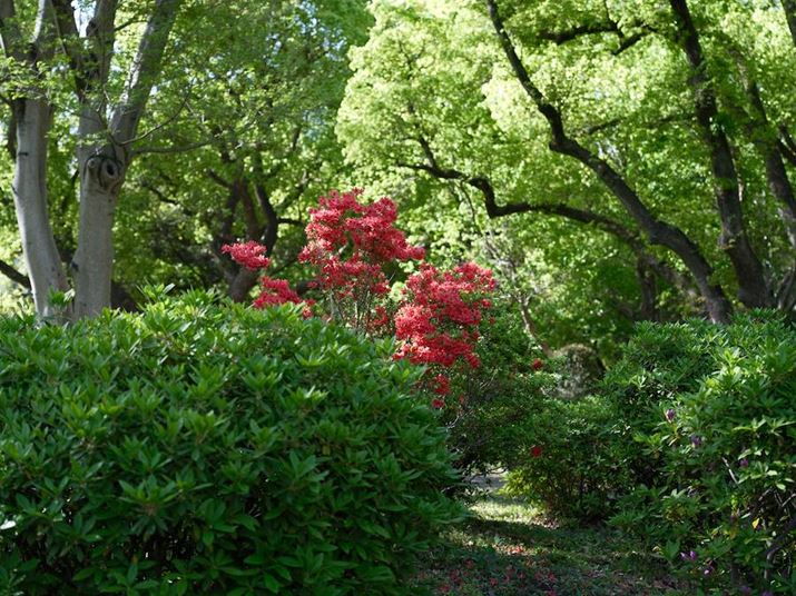 GFX100 IIAGF32-64mmF4 R LM WRA64mmi35mmZ51mmjAF4A1/105bAISO80AzCgoXFI[gAtBV~[VFREALA ACEAJ[N[EGtFNgFAJPEGBeʐ^i11648×8736A58.6MBj