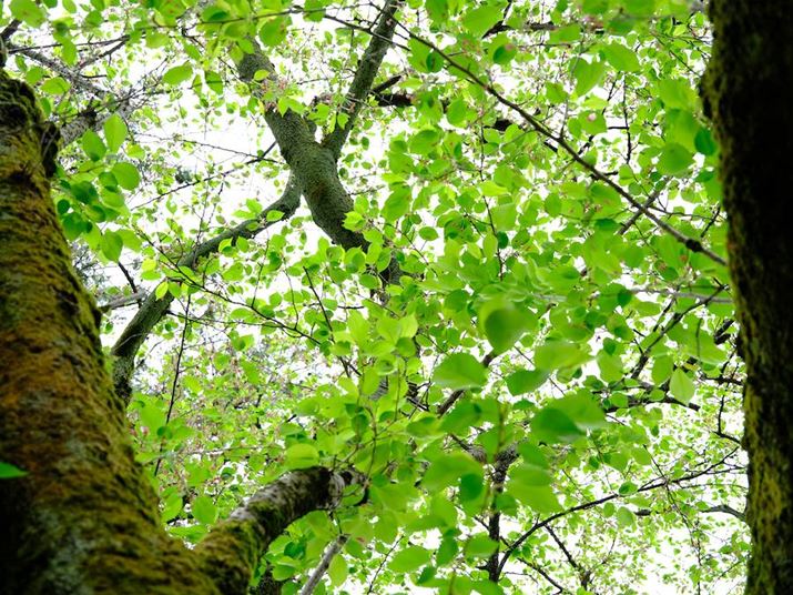 GFX100 IIAGF35-70mmF4.5-5.6 WRA49.1mmi35mmZ39mmjAF5.6A1/50bAISO80A+1.3EVAzCgoXFI[gAtBV~[VFVelvia/rrbhAJPEGBeʐ^i11648×8736A55.5MBj