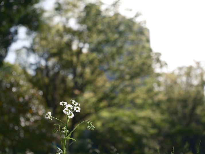 GFX100 IIAGF32-64mmF4 R LM WRA64mmi35mmZ51mmjAF4A1/420bAISO80AzCgoXFI[gAtBV~[VFmX^WbNlKAJPEGBeʐ^i11648×8736A37.0MBj