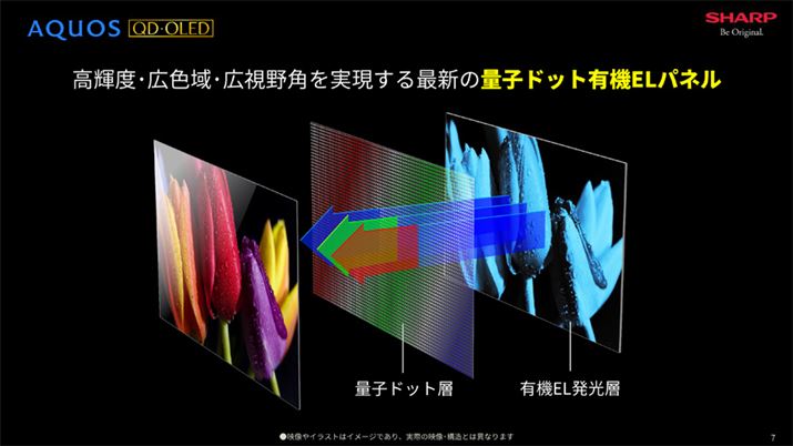 L@ELw̑OʂɌ̔gωʎqhbgwuACӂ̐FoBʎqhbgZp̊Tv͉L֘AL炲