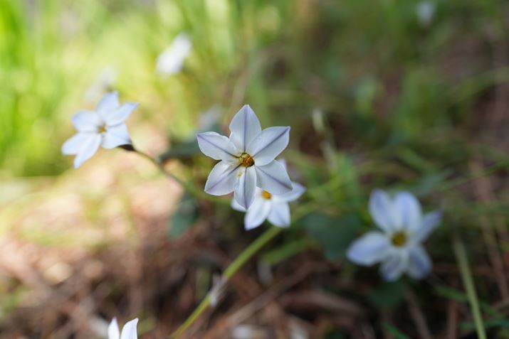 7R VAFE 24-50mm F2.8 GA50mmAF4A1/200bAISO100AzCgoXFI[gANGCeBubNFSTBeʐ^i9504×6336A31.6MBj