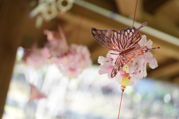 7R VAFE 24-50mm F2.8 GA50mmAF2.8A1/400bAISO400AzCgoXFI[gANGCeBubNFSTBeʐ^i9504×6336A32.2MBj