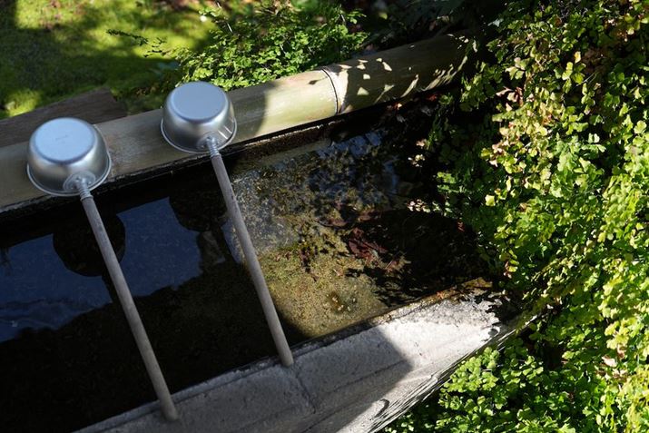 7R VAFE 24-50mm F2.8 GA41mmAF4A1/800bAISO400AzCgoXFI[gANGCeBubNFSTBeʐ^i9504×6336A40.2MBj