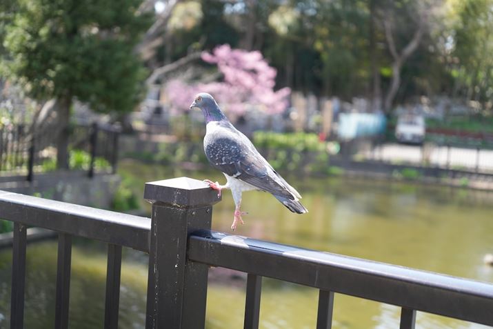 7R VAFE 24-50mm F2.8 GA50mmAF2.8A1/1000bAISO400AzCgoXFI[gANGCeBubNFSTBeʐ^i9504×6336A36.4MBj