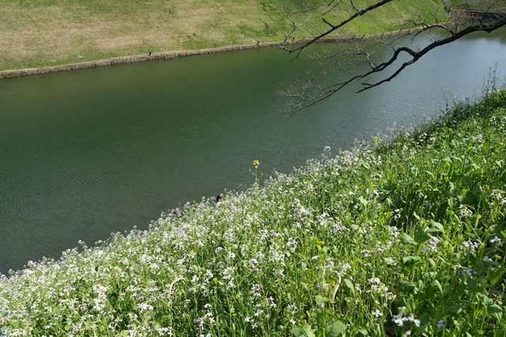 7R VAFE 24-50mm F2.8 GA28mmAF5.6A1/320bAISO100AzCgoXFI[gANGCeBubNFSTBeʐ^i9504×6336A49.4MBj