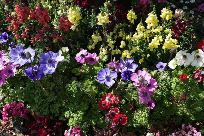 7R VAFE 24-50mm F2.8 GA35mmAF5.6A1/200bAISO100AzCgoXFI[gANGCeBubNFSTBeʐ^i9504×6336A40.8MBj