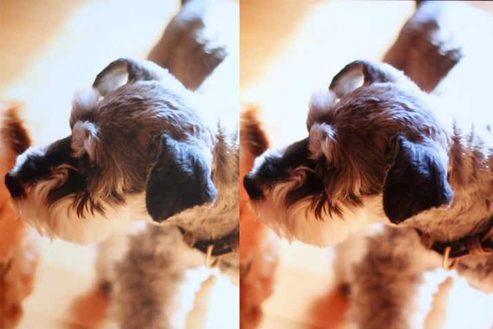 PxōɂĎʐ^\ƂׂĎBeɈꕔĕ\BtfBXvĆuLatitude 5340vAEuUX3405MA-U7161WvBuUX3405MA-U7161Wv̕RȐFŕ\łĂÅ܂