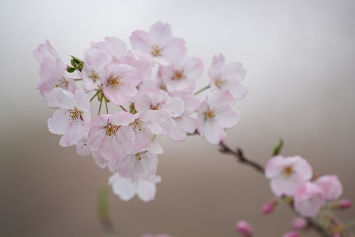 7R VA500mm F5.6 DG DN OSA500mmAF5.6A1/1000bAISO400A+1.0EVAzCgoXFI[gANGCeBubNFSTBeʐ^i9504×6336A30.4MBj