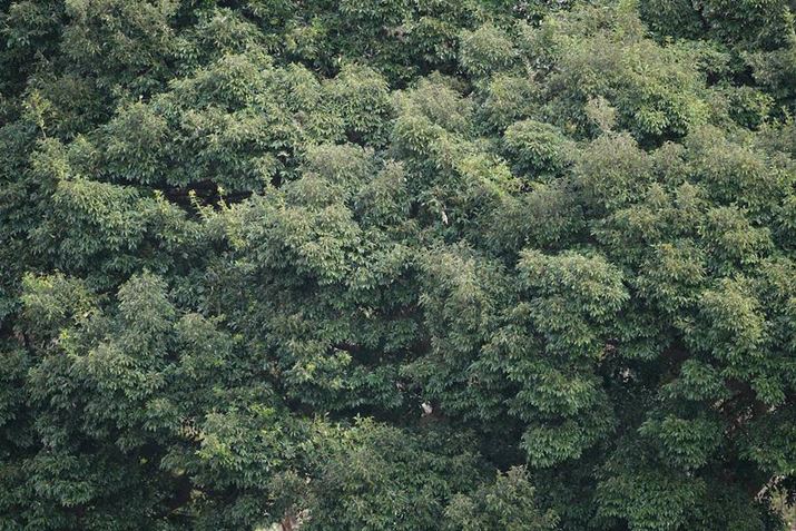 7R VA500mm F5.6 DG DN OSA500mmAF5.6A1/100bAISO100A-0.3EVAzCgoXFI[gANGCeBubNFSTBeʐ^i9504×6336A58.5MBj