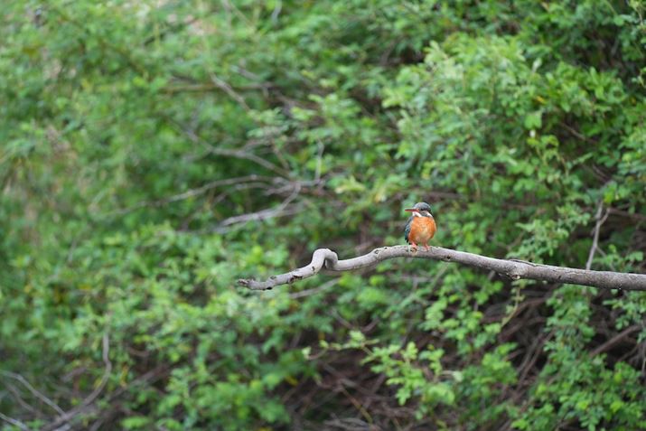 7R VA500mm F5.6 DG DN OSA500mmAF5.6A1/100bAISO400AzCgoXFI[gANGCeBubNFSTBeʐ^i9504×6336A37.1MBj