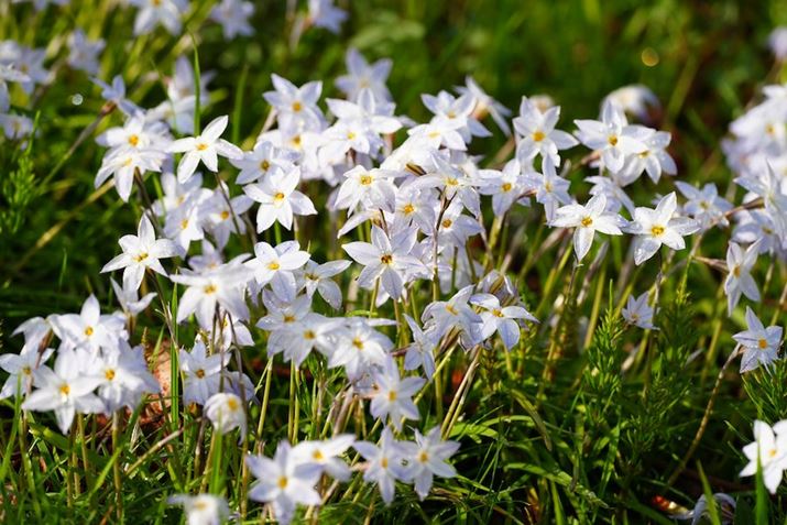 7R VA500mm F5.6 DG DN OSA500mmAF8.0A1/500bAISO400A+0.7EVAzCgoXFI[gANGCeBubNFSTBeʐ^i9504×6336A36.9MBj