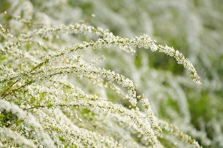 7R VA500mm F5.6 DG DN OSA500mmAF5.6A1/400bAISO400A+1.3EVAzCgoXFI[gANGCeBubNFSTBeʐ^i9504×6336A34.9MBj