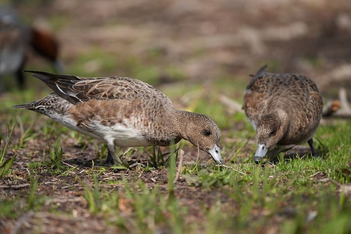 7R VA500mm F5.6 DG DN OSA500mmAF5.6A1/500bAISO160AzCgoXFI[gANGCeBubNFSTBeʐ^i9504×6336A39.5MBj