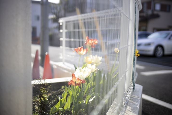 EOS R8ANOKTON 40mm F1.2 AsphericalAF1.2A1/2500bAISO100A+1.7EVAsN`[X^CFX^_[hAzCgoXFI[gARAW