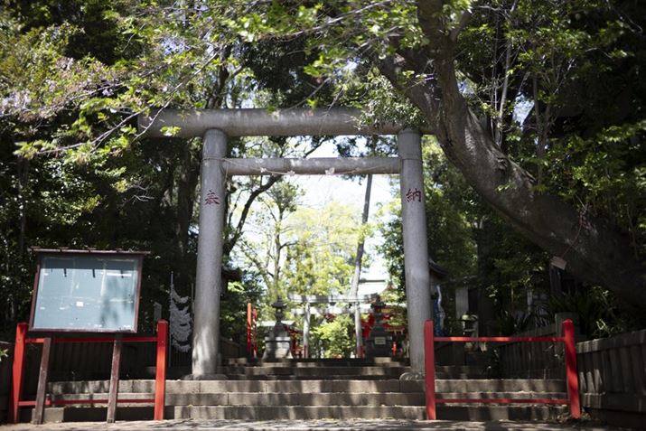 w̌yĂꂽDȏꏊEOS R8ANOKTON 40mm F1.2 AsphericalAF1.2A1/1600bAISO100A+1.0EVAsN`[X^CFX^_[hAzCgoXFI[gARAW