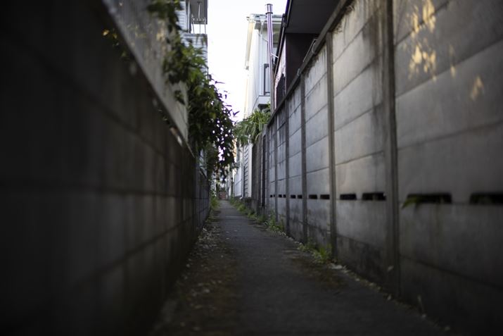 ͒ʂ߂ĂAlЂƂʂ邮炢ׂ̍EOS R8ANOKTON 40mm F1.2 AsphericalAF1.2A1/500bASO100A+0.3EVAsN`[X^CFX^_[hAzCgoXFI[gARAW