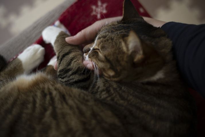 yʃRpNgȃ{fBƃŶŕЎBêEOS R8ANOKTON 40mm F1.2 AsphericalAF2A1/100bAISO100A-1.0EVAsN`[X^CFX^_[hAzCgoXFI[gARAW