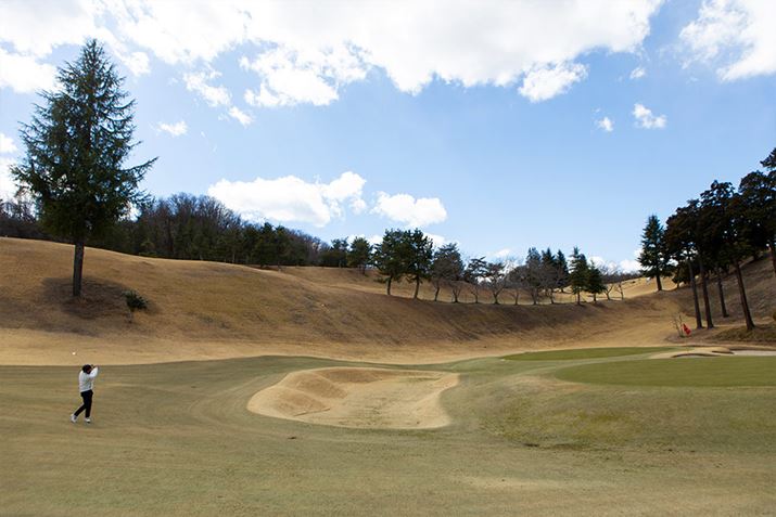 30[h̋𒼐ڃO[ɗƂẴ{[̔`FbN܂